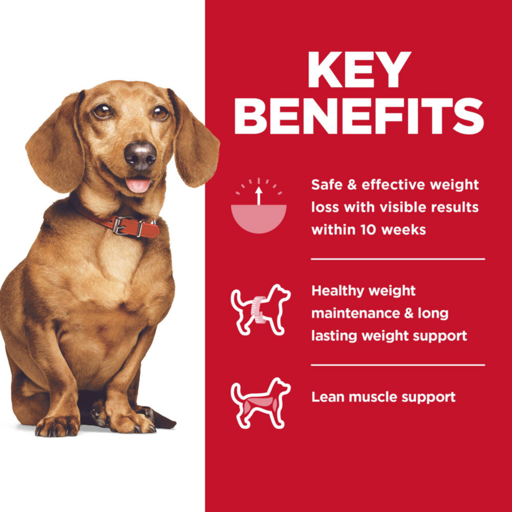 Hill's Science Diet Adult Perfect Weight Small & Mini Dry Dog Food - Chicken Recipe for Weight Management - Ideal for Small Breed Dogs at Home or Travel