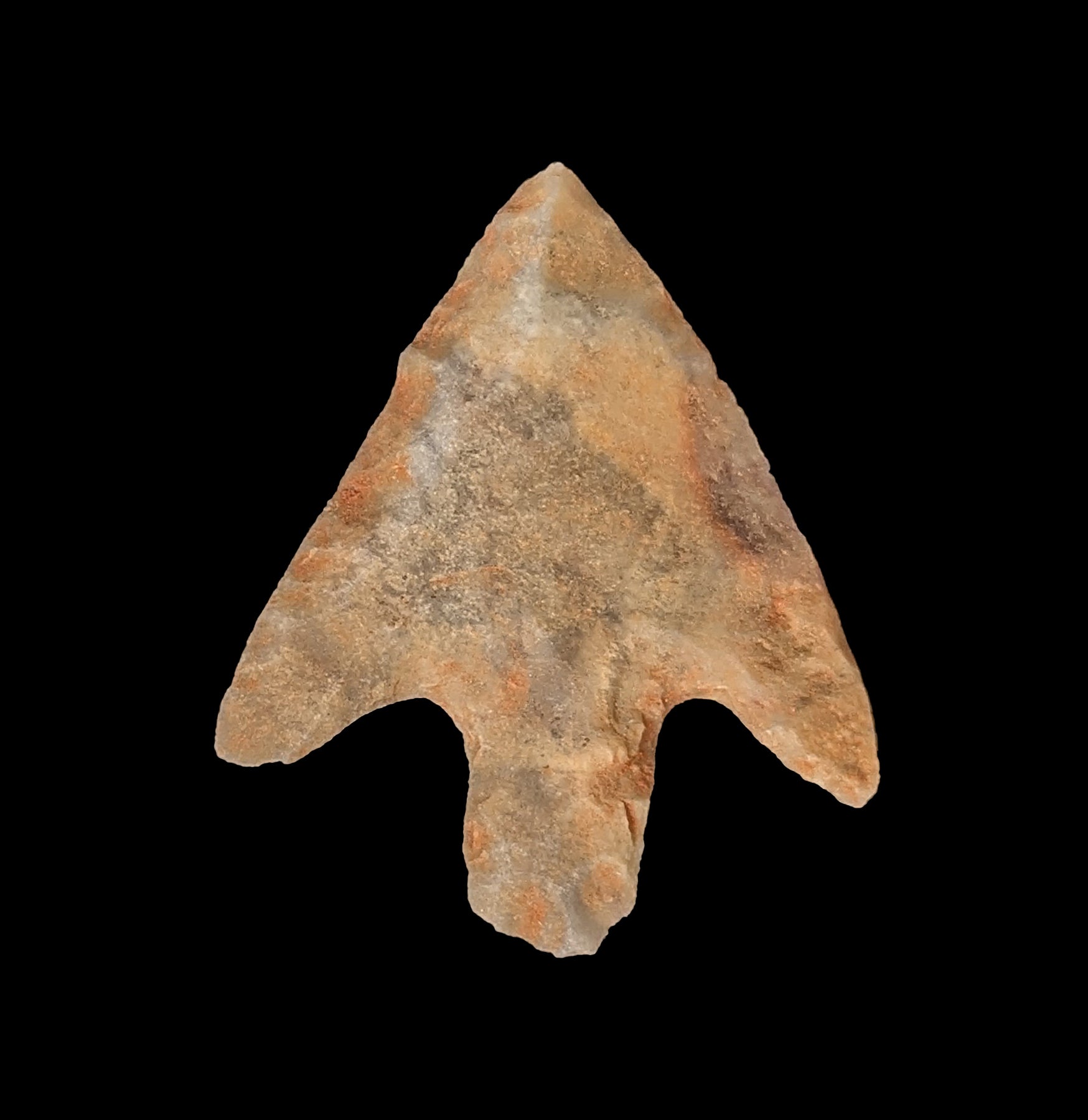 Neolithic Bird Points - Authentic Stone Age Arrowheads for Collectors & Archaeology Enthusiasts | Perfect for Historical Reenactments, Museum Displays & Ancient Weapon Collections