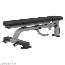 Nautilus Instinct Multi Adjustable Weight Bench for Home Gym - Strength Training & Full Body Workout - Perfect for Dumbbell, Barbell & Resistance Band Exercises