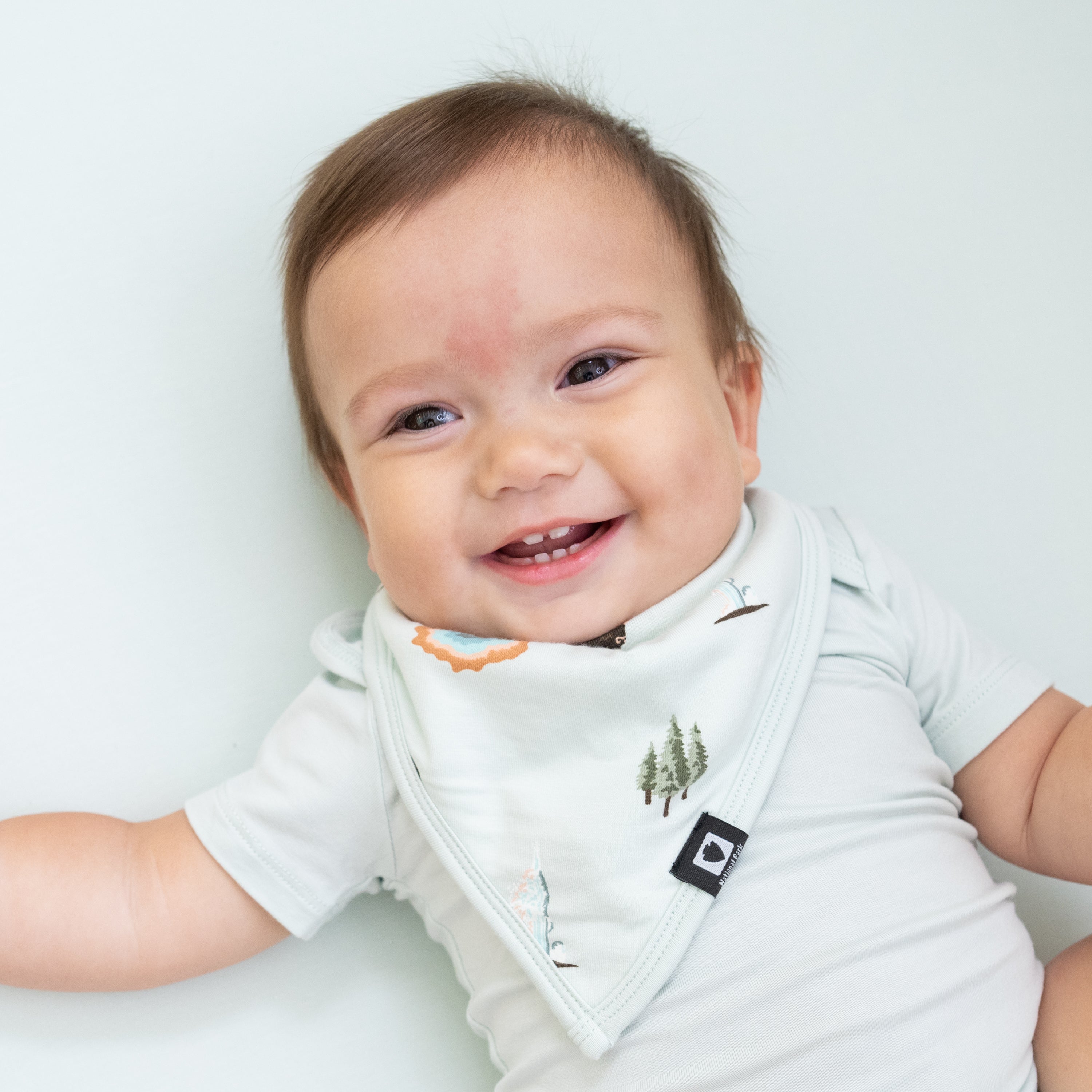 Yellowstone National Park Themed Baby Bib - Soft, Absorbent & Washable for Messy Meals & Outdoor Adventures