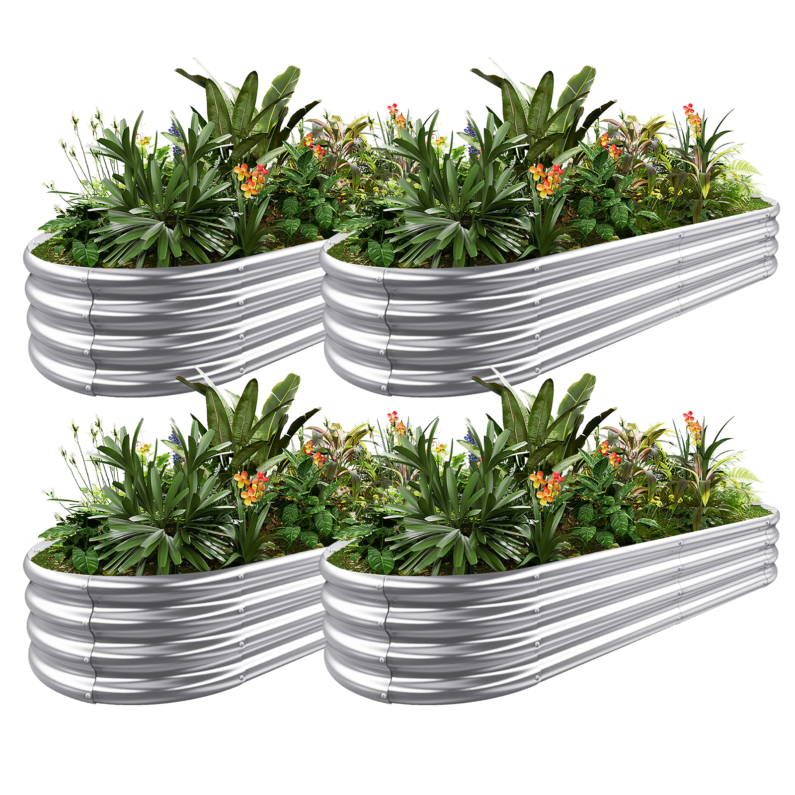 4 Pack Galvanized Steel Raised Garden Beds - 6x3x1 Feet Oval Planter Boxes for Vegetables, Flowers & Herbs - Perfect for Backyard, Patio & Urban Gardening