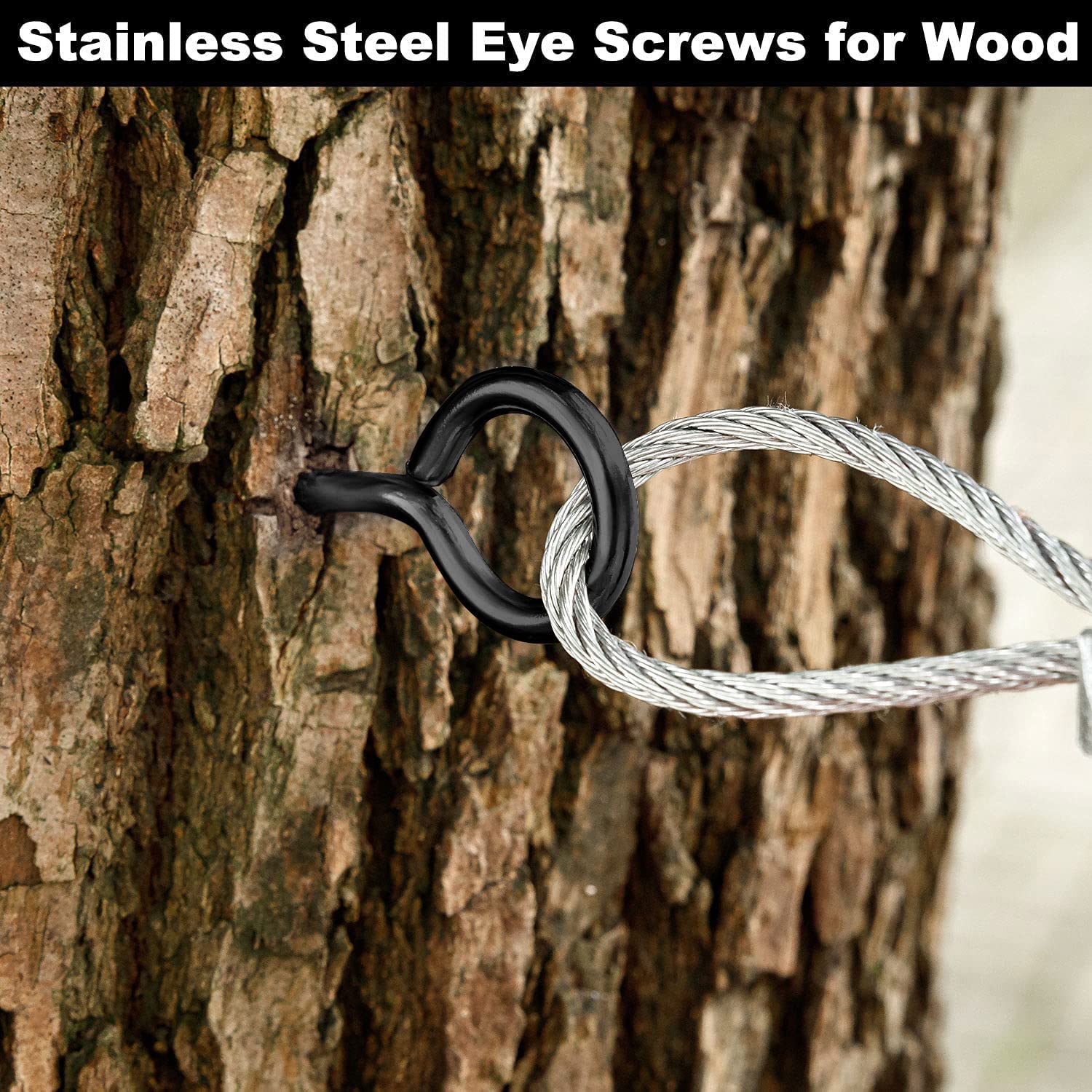 Stainless Steel Eye Screws 10PCS 2.5