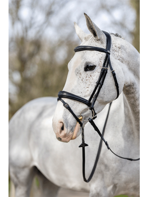 Le Mieux Competition Flash Bridle for Horses - Premium Show Jumping & Dressage Bridle with Flash Noseband - Perfect for Equestrian Competitions & Training
