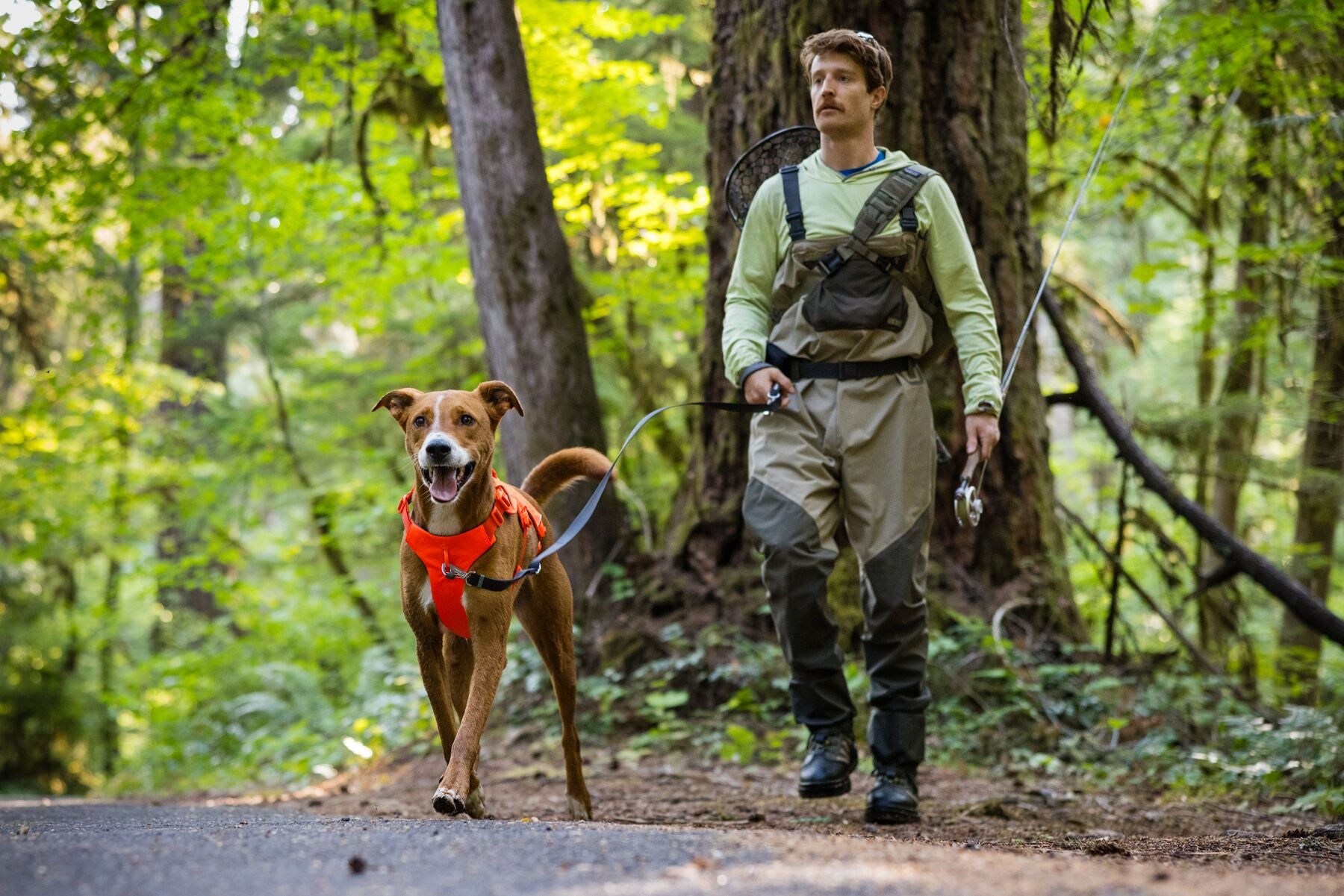 Ruffwear® Web Master™ Multi-Use Harness with Handle & Anti-Pull System - Blaze Orange - Perfect for Hiking, Running & Outdoor Adventures with Your Dog