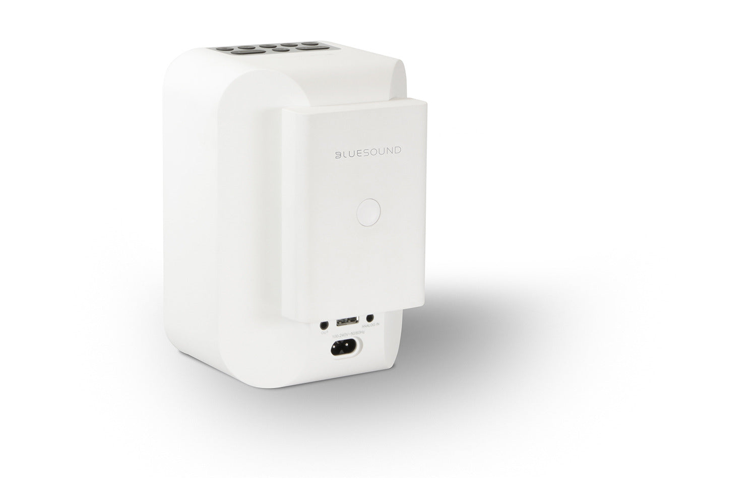 Bluesound Pulse Flex Battery Pack - Portable Power for Wireless Speaker | Perfect for Outdoor, Travel & Home Use