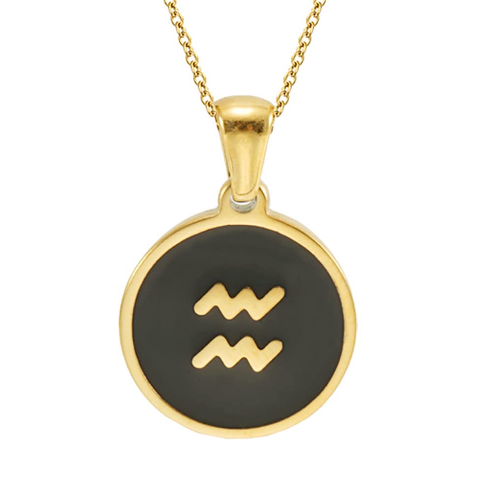 OAKKY Women's Stainless Steel Zodiac Necklace - 12 Constellation Pendant, Round Coin Design, Durable Jewelry Gift for Her - Perfect for Birthday, Anniversary, and Everyday Wear