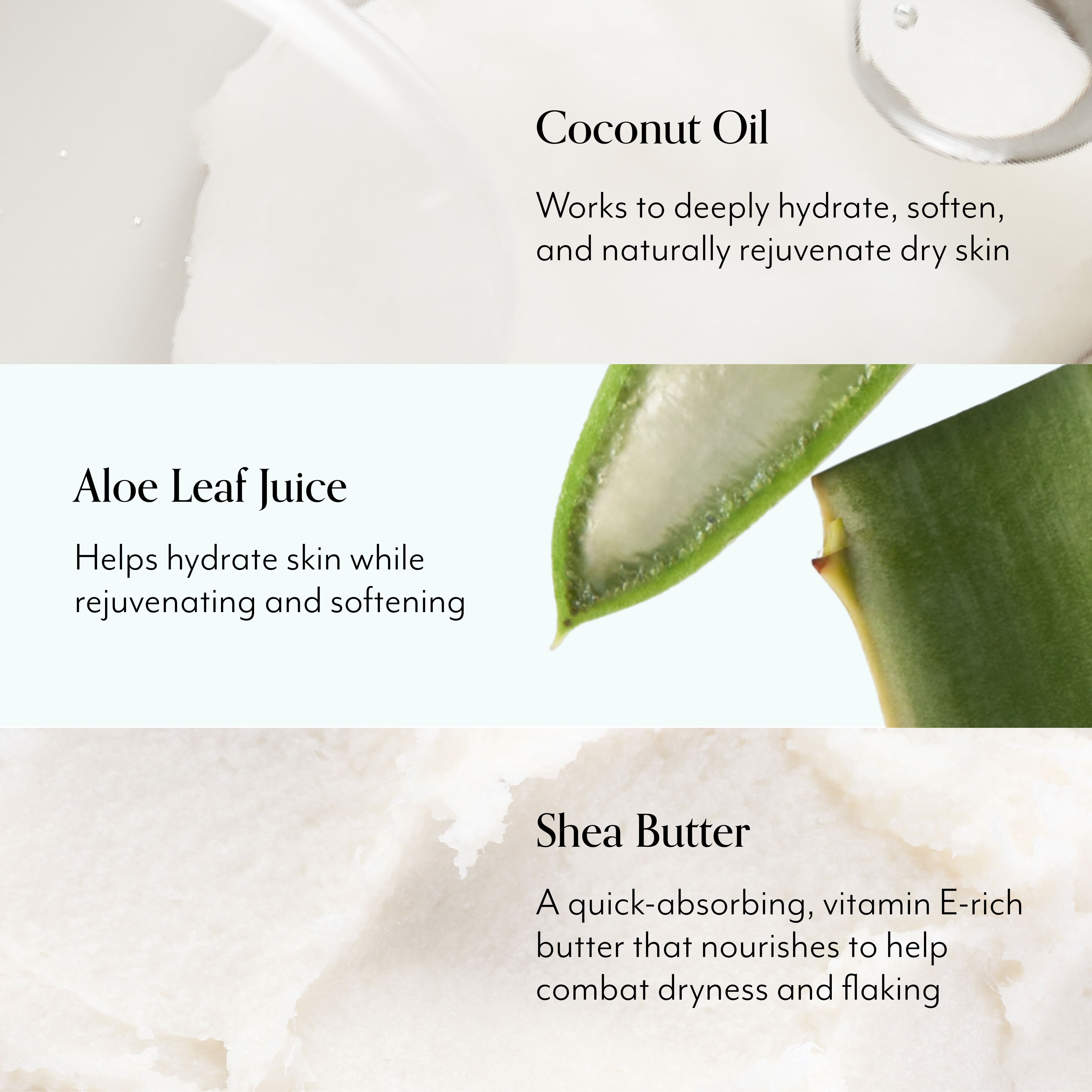 Lemon & Sage Hand Cream and Wash Set - Moisturizing & Cleansing for Dry Skin - Perfect for Home, Office, and Travel Use