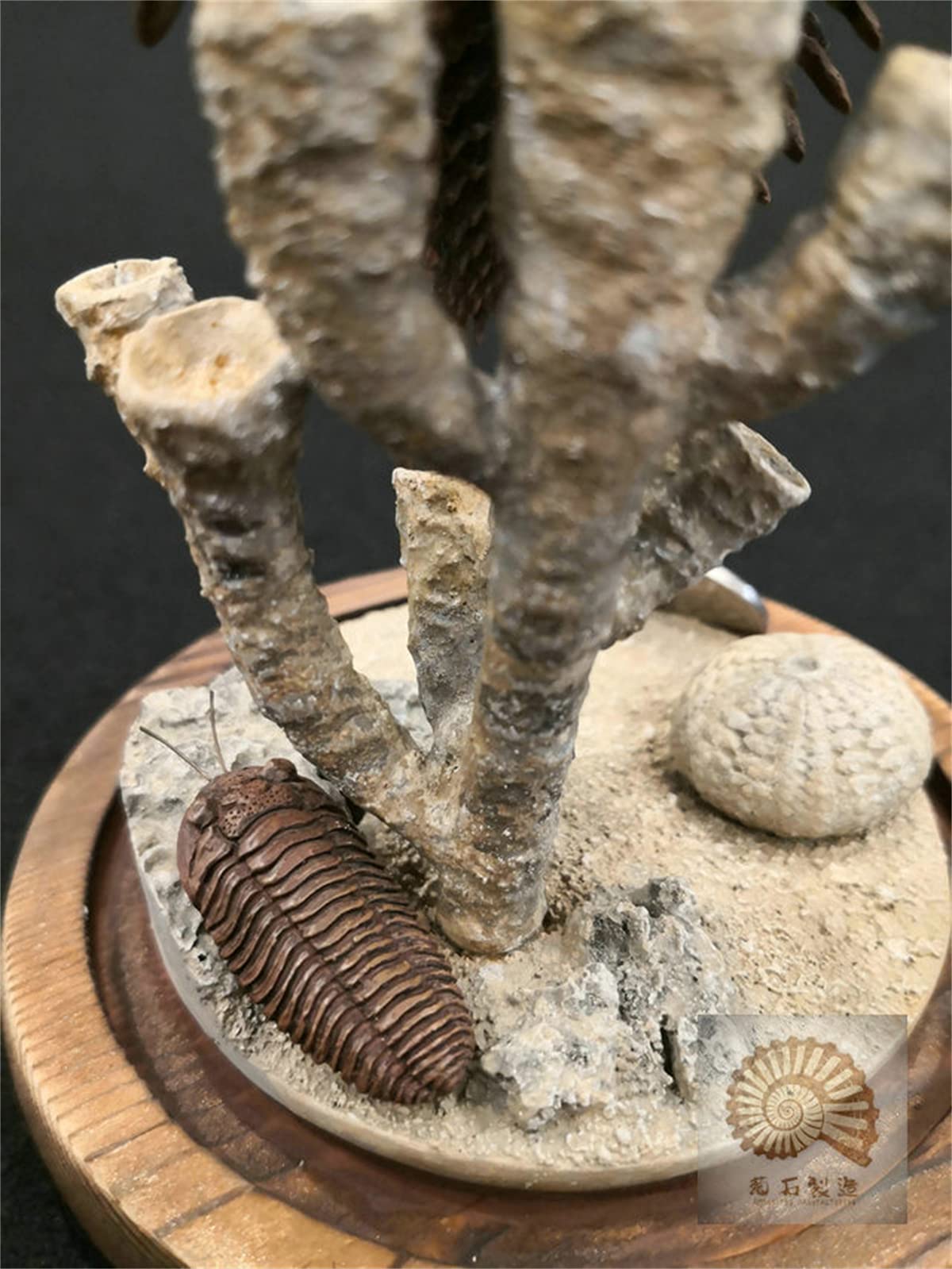 VWUVWU 1:1 Scale Trilobite Fossil Model - Realistic Arthropod Skeleton Figure, Resin Collector's Decor & Unique Gift for Adults - Perfect for Paleontology Enthusiasts, Home Office Display & Science Education
