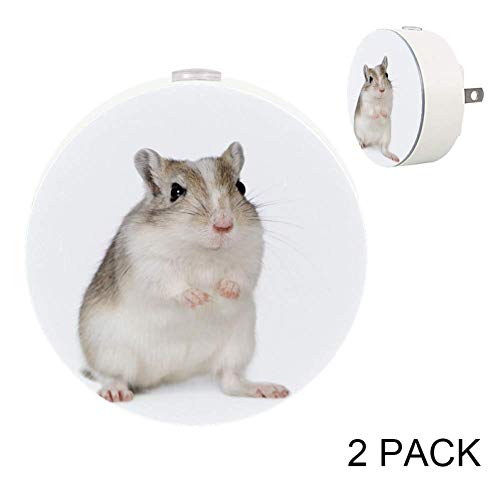 Adorable Gerbil LED Night Light with Motion Sensor - Energy Efficient Plug-in Lamp for Bedroom, Hallway, Kitchen & Nursery (Set of 2) - Perfect for Kids' Rooms, Bathroom Safety & Late Night Snack Trips