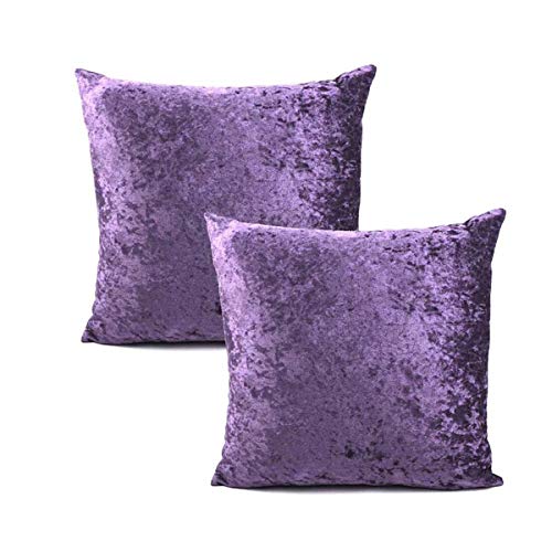 Dark Purple