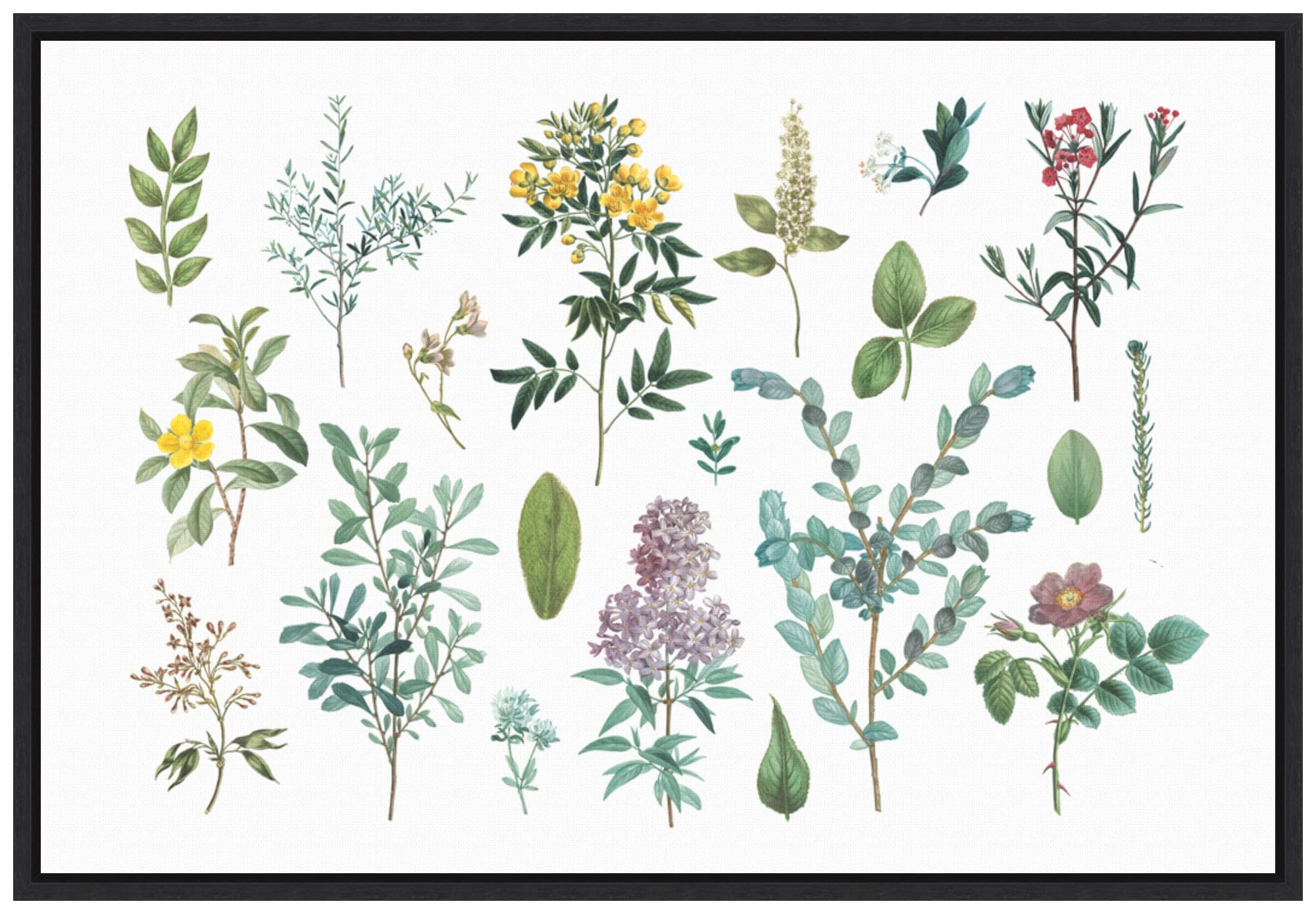 Amanti Art Framed Canvas Wall Art 16x23 - Victorian Garden Bright IV Floral Painting by Wild Apple | Modern Home Decor for Living Room, Bedroom & Office | High-Quality Framed Flower Artwork for Wall Decor