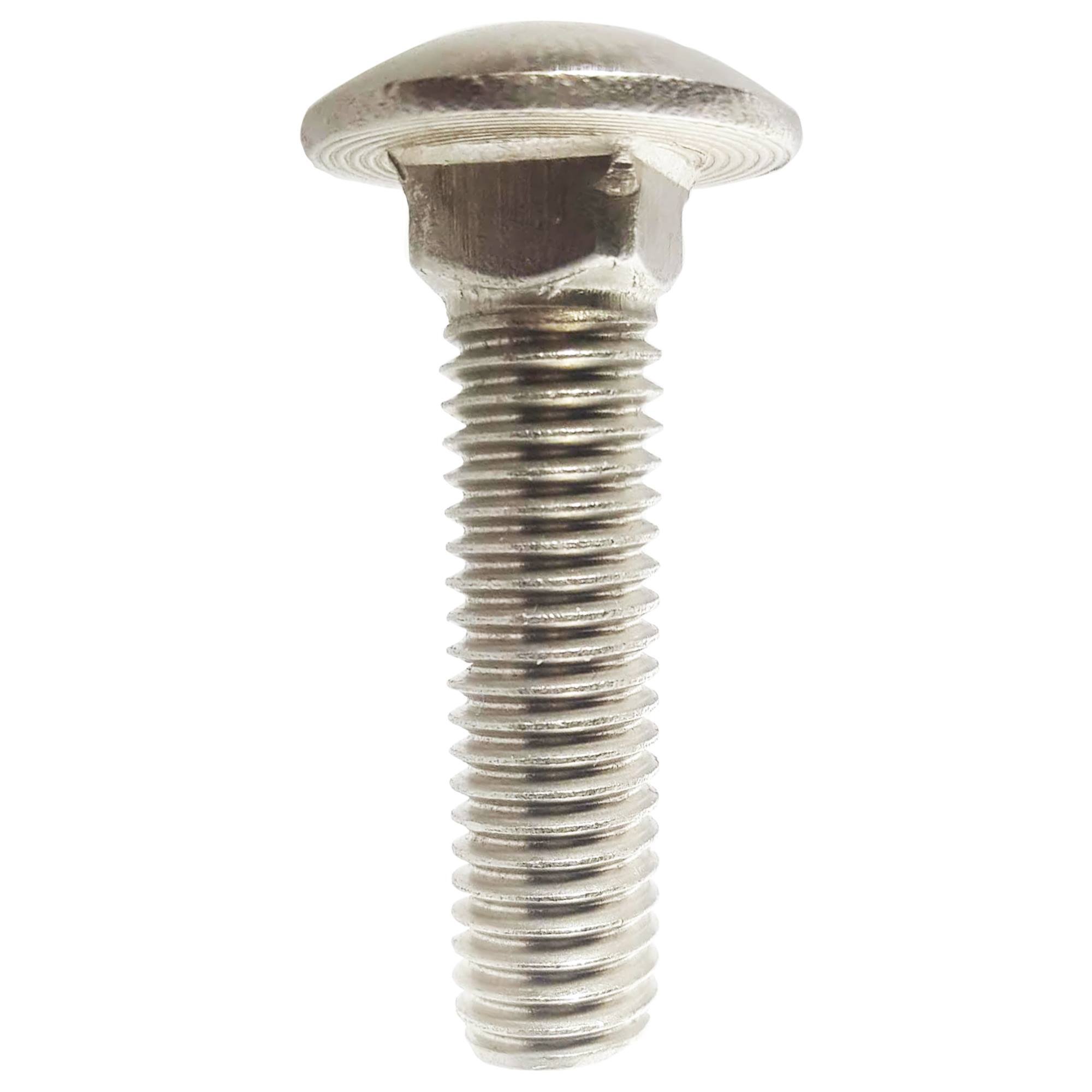 Stainless Steel 18-8 Carriage Bolts 5/16-18 x 2