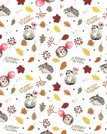 Cute 3d Animal Koala