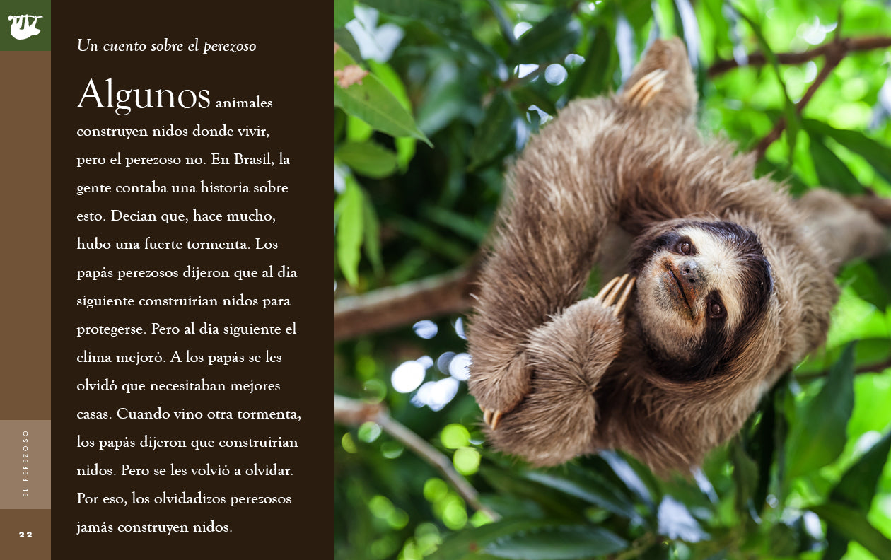 Sloth Book 9781640265868 - Learn About Sloths | Perfect for Kids & Animal Lovers | Great for Homeschooling & Nature Education
