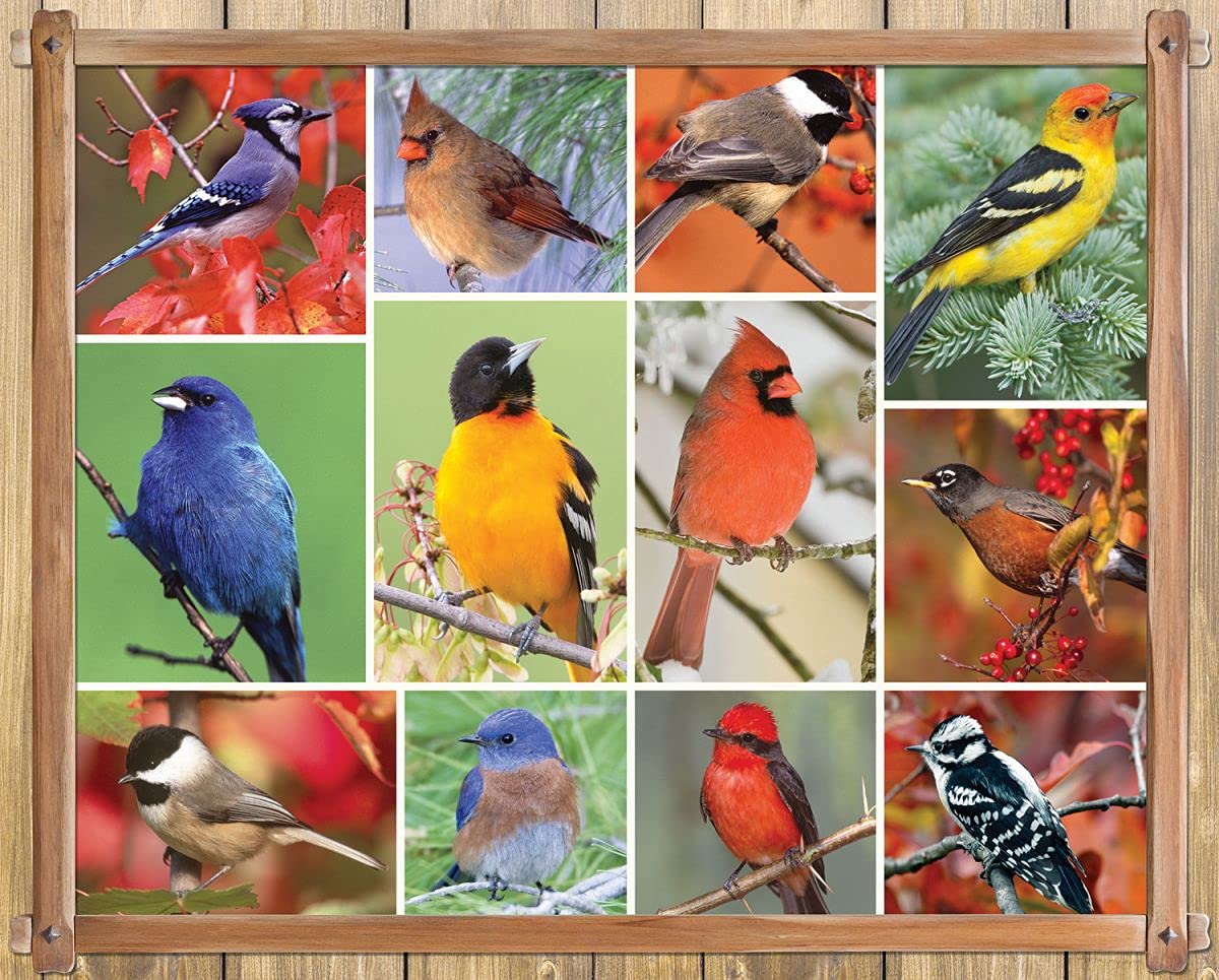 100-Piece Springbok Jigsaw Puzzle - Songbirds Themed Alzheimer's & Dementia Activity - Made in USA - Perfect for Memory Care Therapy & Family Bonding