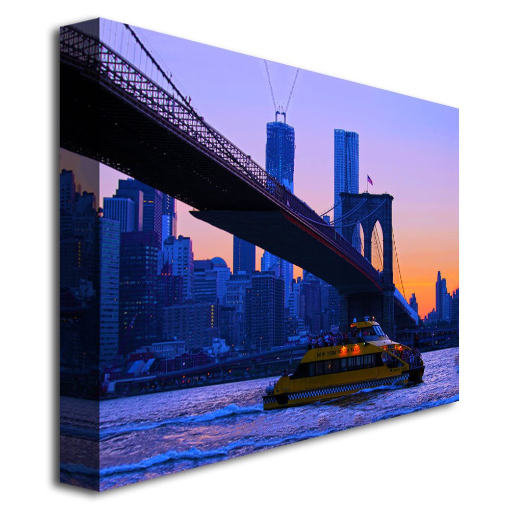 Trademark Art Cat Eyes NYC Canvas Wall Art - 18x24 Inches - Modern Home Decor for Living Room, Bedroom & Office