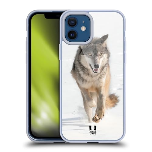 Grey Wolf Running