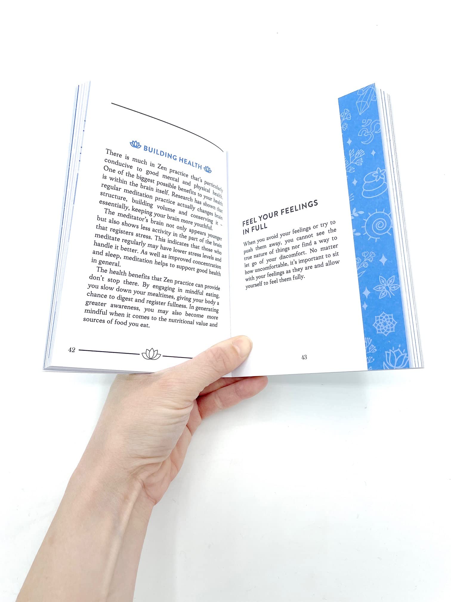 The Little Book of Zen: A Beginner’s Guide to the Art of Zen Meditation - Perfect for Stress Relief, Mindfulness & Daily Relaxation Practices