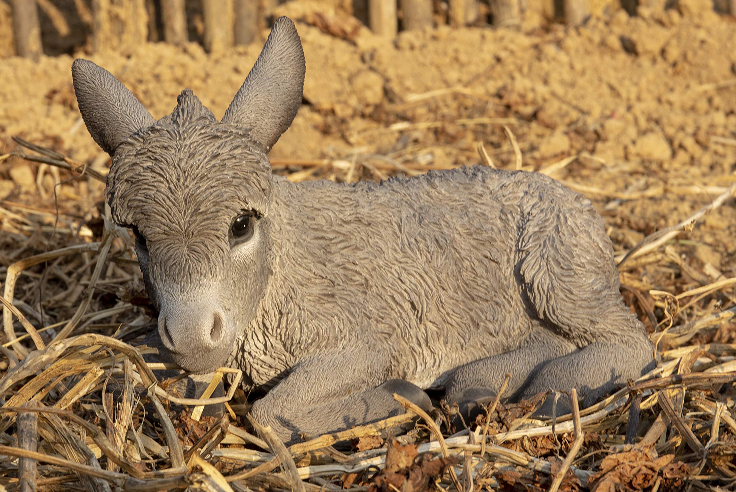 Medium Brown Donkey Foal Lying Down Statue - Perfect for Farmhouse Decor, Nursery Room, and Animal Lover Gifts