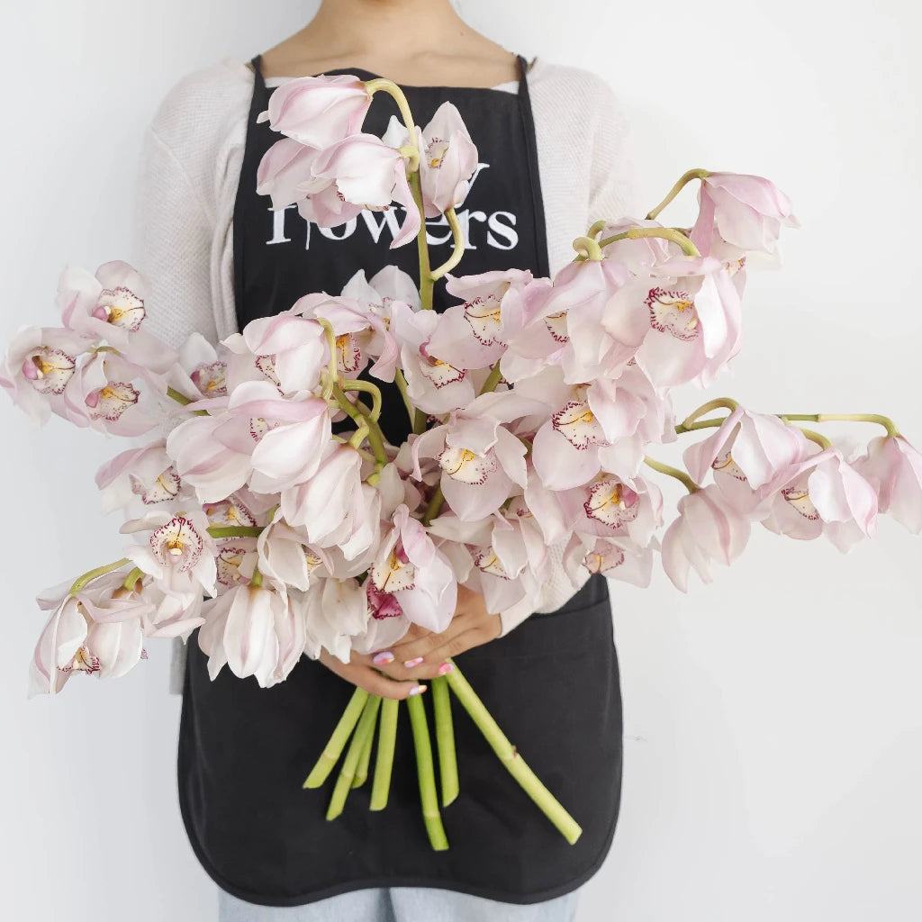 Pink and Burgundy Cymbidium Orchid Plants for Sale - Perfect for Home Decor, Wedding Bouquets & Floral Arrangements