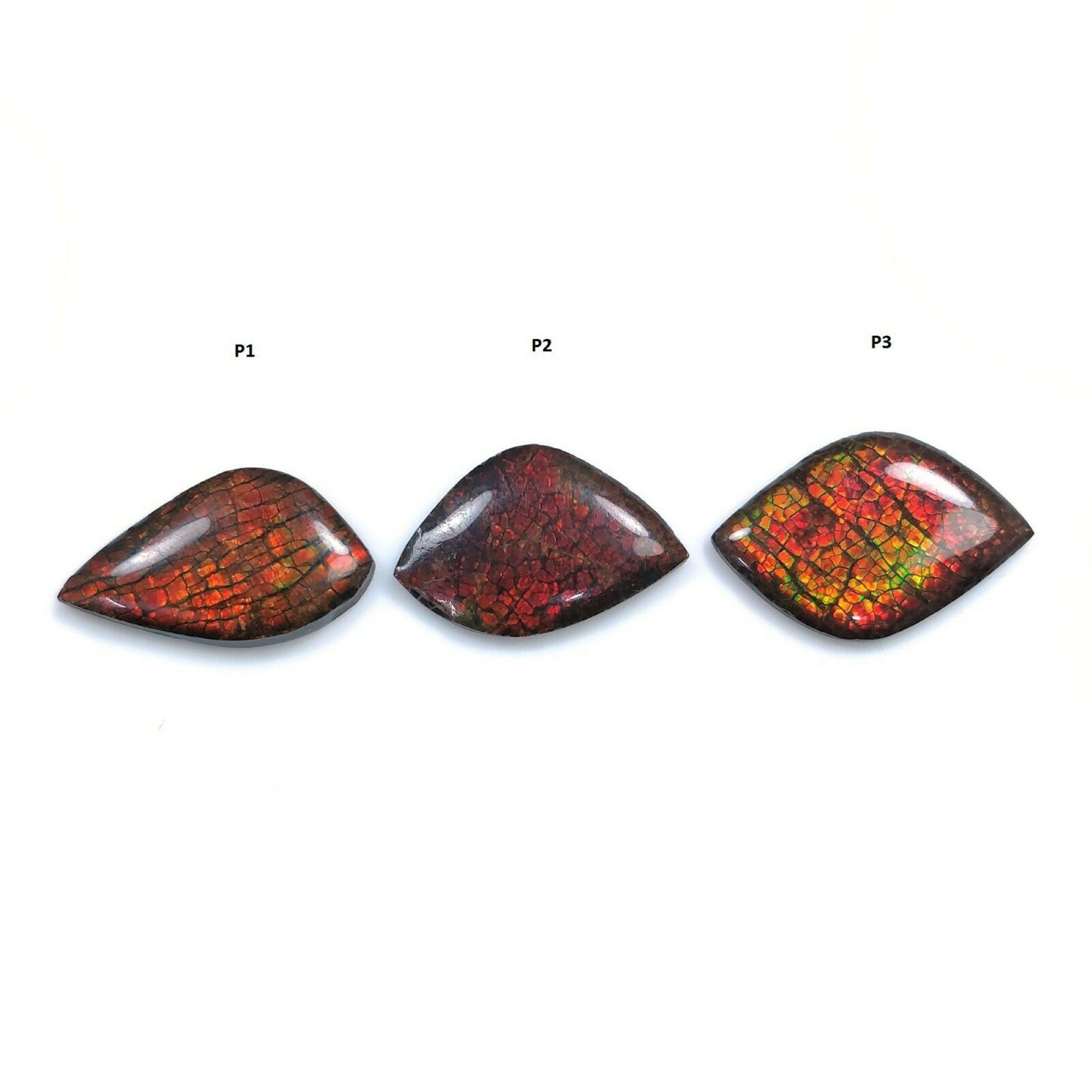 Natural AMMOLITE Gemstone Cabochon - Bi-Color Fossilized Shell, 23.5x15mm & 26x16mm, Handmade Jewelry Making, Unique Uneven Shape - Perfect for Rings, Pendants & DIY Craft Projects