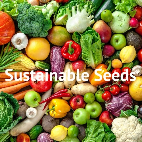 David's Garden Seeds Lettuce Oakleaf Lollo Rossa 50 Non-GMO Heirloom Seeds for Organic Gardening, Homegrown Salad Greens, and Fresh Healthy Eating