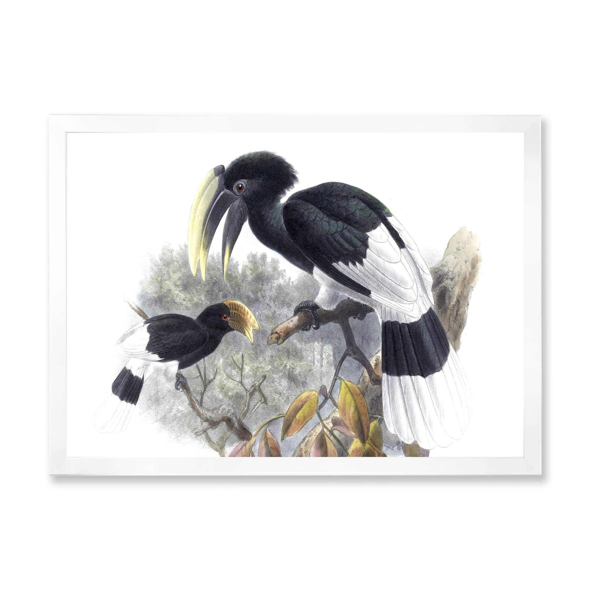 Vintage Bird Illustration Framed Wall Art - Traditional Home Decor for Living Room, Bedroom & Office | Hand-Painted Canvas Print - Perfect Gift for Nature Lovers