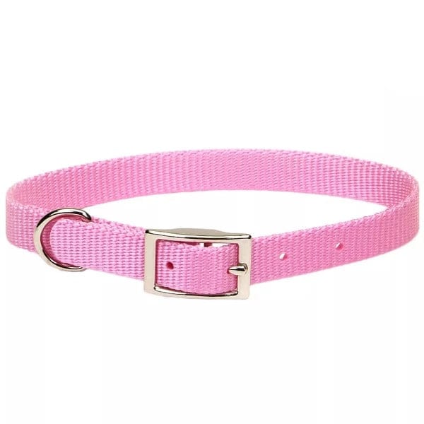 Premium Coastal Single Ply Dog Collar - Durable & Comfortable Pet Collar for Small to Medium Dogs - Perfect for Beach Walks & Outdoor Adventures
