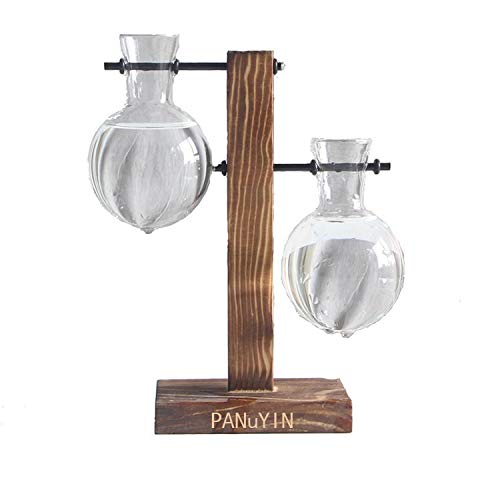 Modern Double Balls Glass Desk Vase - Hydroponic Plant Terrarium Container with Wooden Stand (Double Side Ladder) - Perfect for Office Decor, Home Plant Display & Gift Ideas