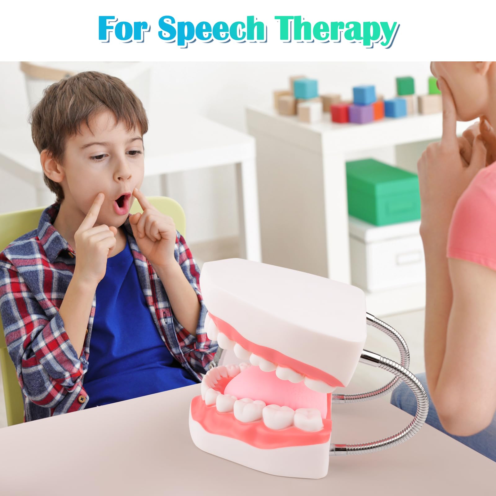 **6X Enlarged Dental Teeth Model with Metal Hinge for Speech Therapy & Brushing Training – Perfect for Kids & Children, Includes Toothbrush – Ideal for Dentists, Classrooms & Home Learning**