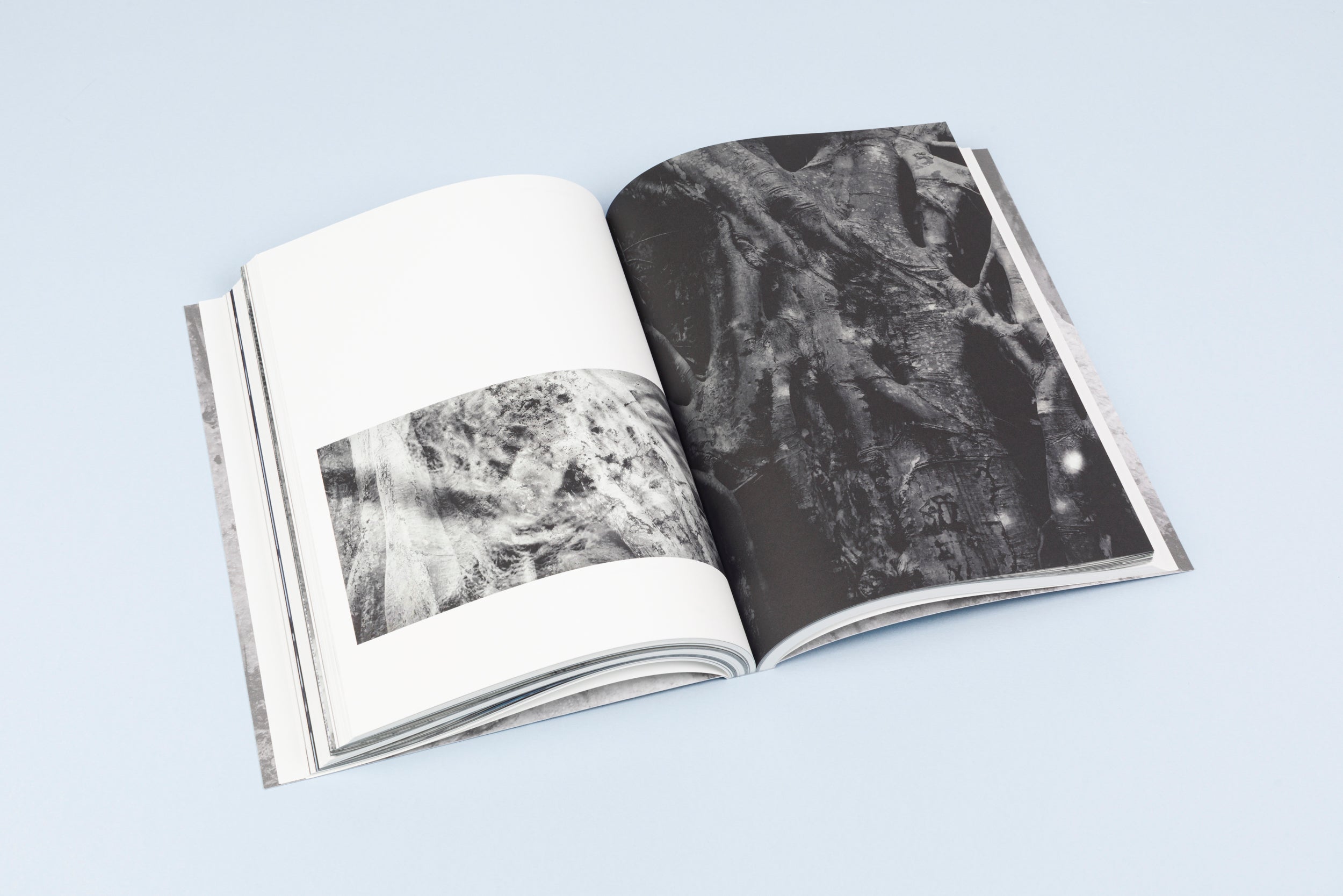 The Artist as Explorer: Madelon Hooykaas - Contemporary Art Book for Collectors & Museum Enthusiasts | Perfect for Home Decor & Art Exhibitions