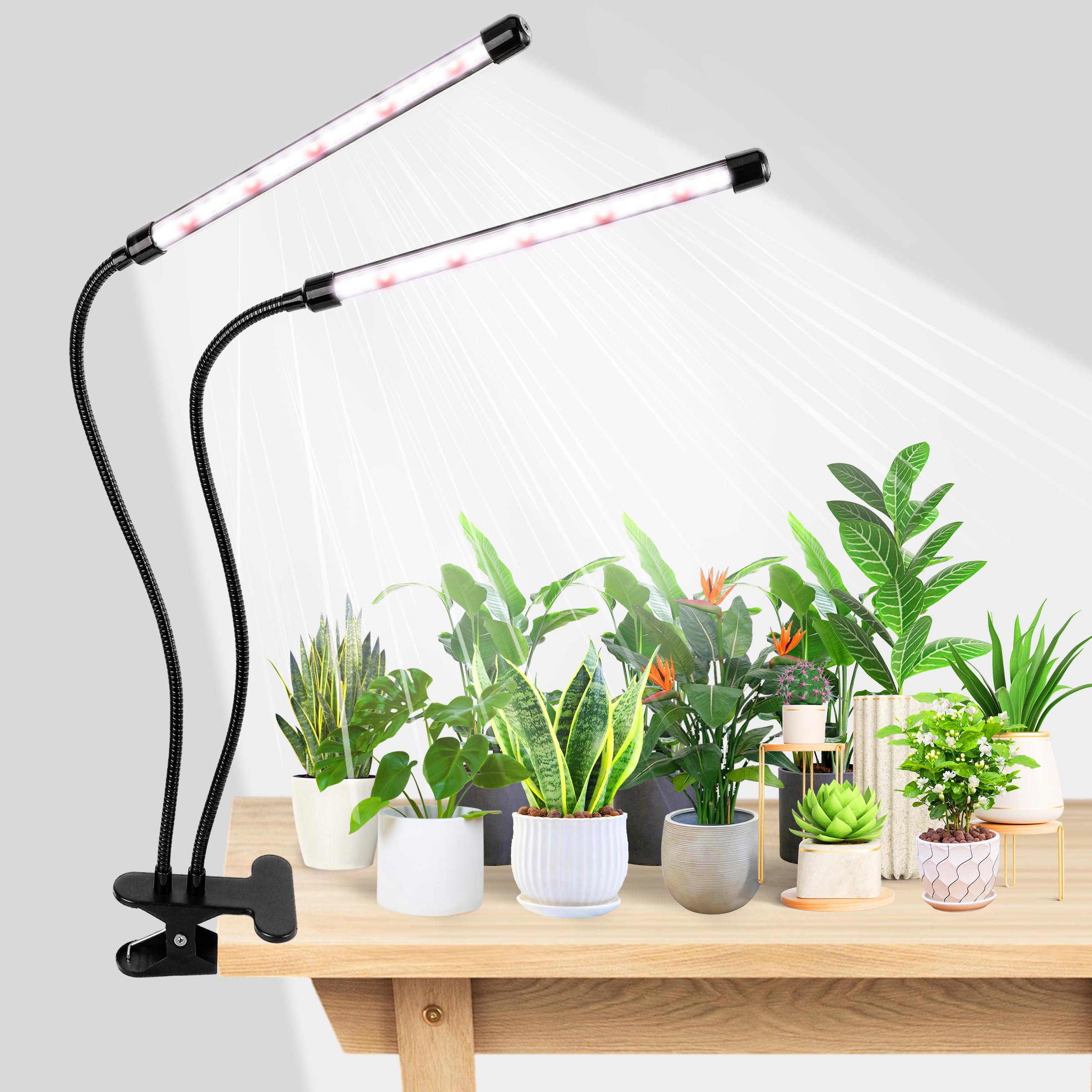6500K Full Spectrum LED Grow Light with Adjustable Clip - 84 LED Plant Lamp for Indoor Plants, Seedlings, Hydroponics & Home Gardening