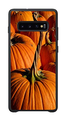 For S10 Plus(6.4in)