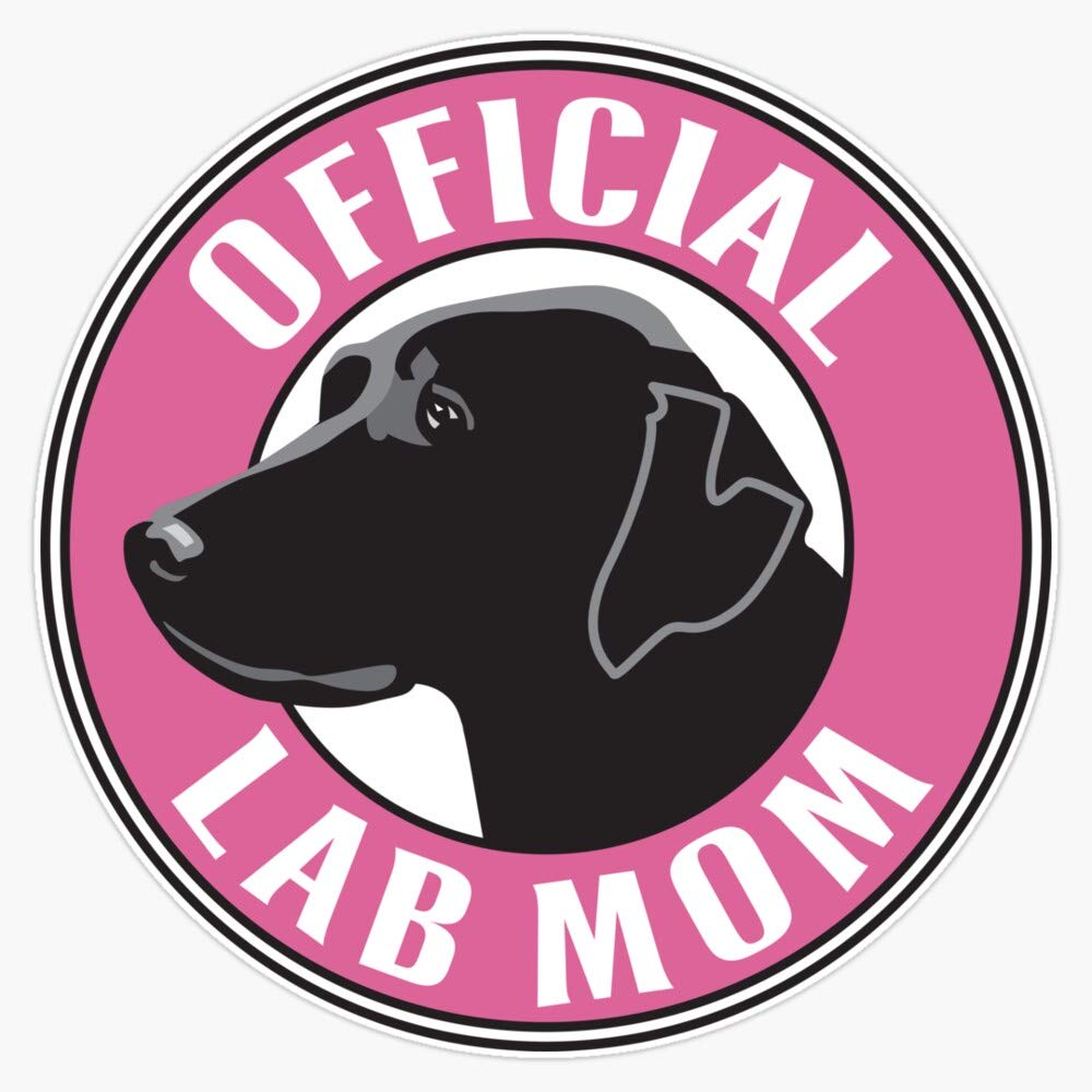 Official Lab Mom Vinyl Waterproof Sticker Decal - 5 Inch Durable Car, Laptop, Wall, Window & Bumper Decoration - Perfect for Science Lovers, Teachers & Lab Enthusiasts