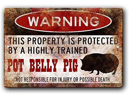 Funny Pot Belly Pig Warning Metal Sign - 12x16 Inch Rustic Farmhouse Decor for Kitchen, Bar, or Man Cave - Humorous Pig Lover Gift & Vintage Style Wall Art