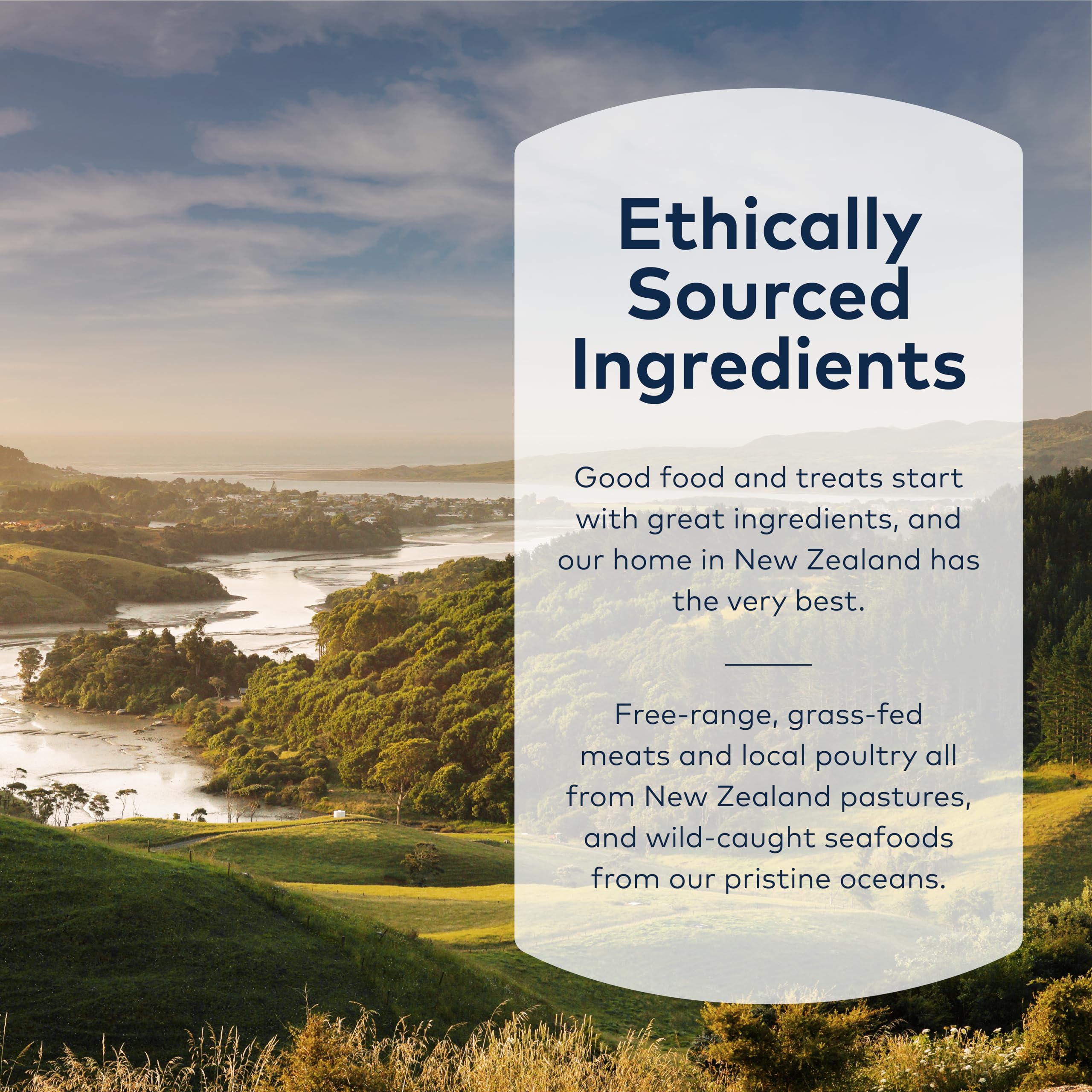 ZIWI Premium Air-Dried Lamb Trachea Dog Treats - All Natural, Grain-Free, Single Protein, High-Value Training Rewards & Chews for Dogs - 2.1oz Pack - Perfect for Training, Dental Health & Anxious Pets