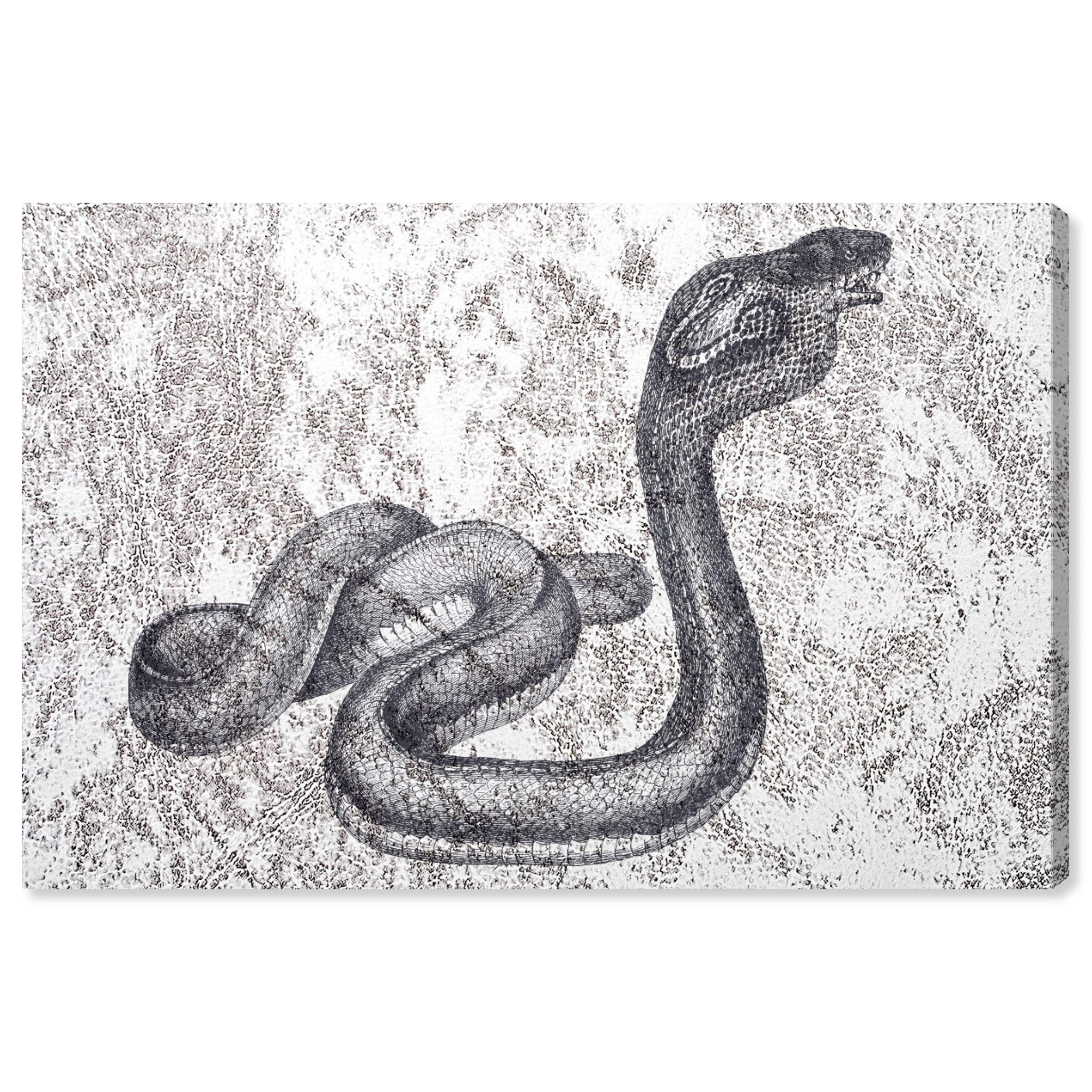 Oliver Gal Artist Co. 'Serpiente Dos' Animal Wall Art Canvas Print - 45x30 Inches Gray & White Modern Home Decor for Living Room, Bedroom & Office