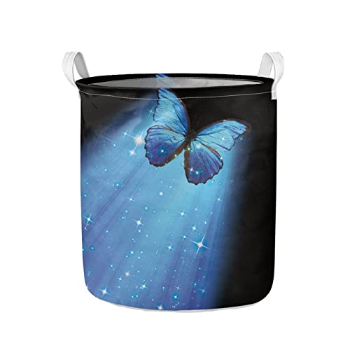 Galaxy Butterfly
