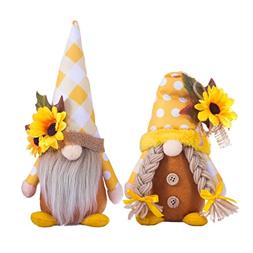 Valentine's Gnome a