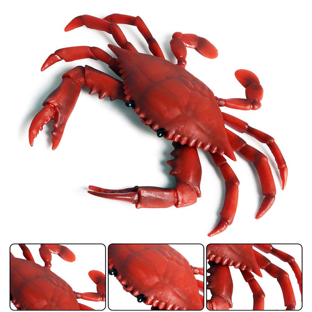 Realistic Crab Marine Animal Toy Set - 2 Pcs Lifelike Sea Creature Figurines for Ocean Science Education & Collectors | Perfect for Classroom Learning, Aquarium Decor & Kids Playtime