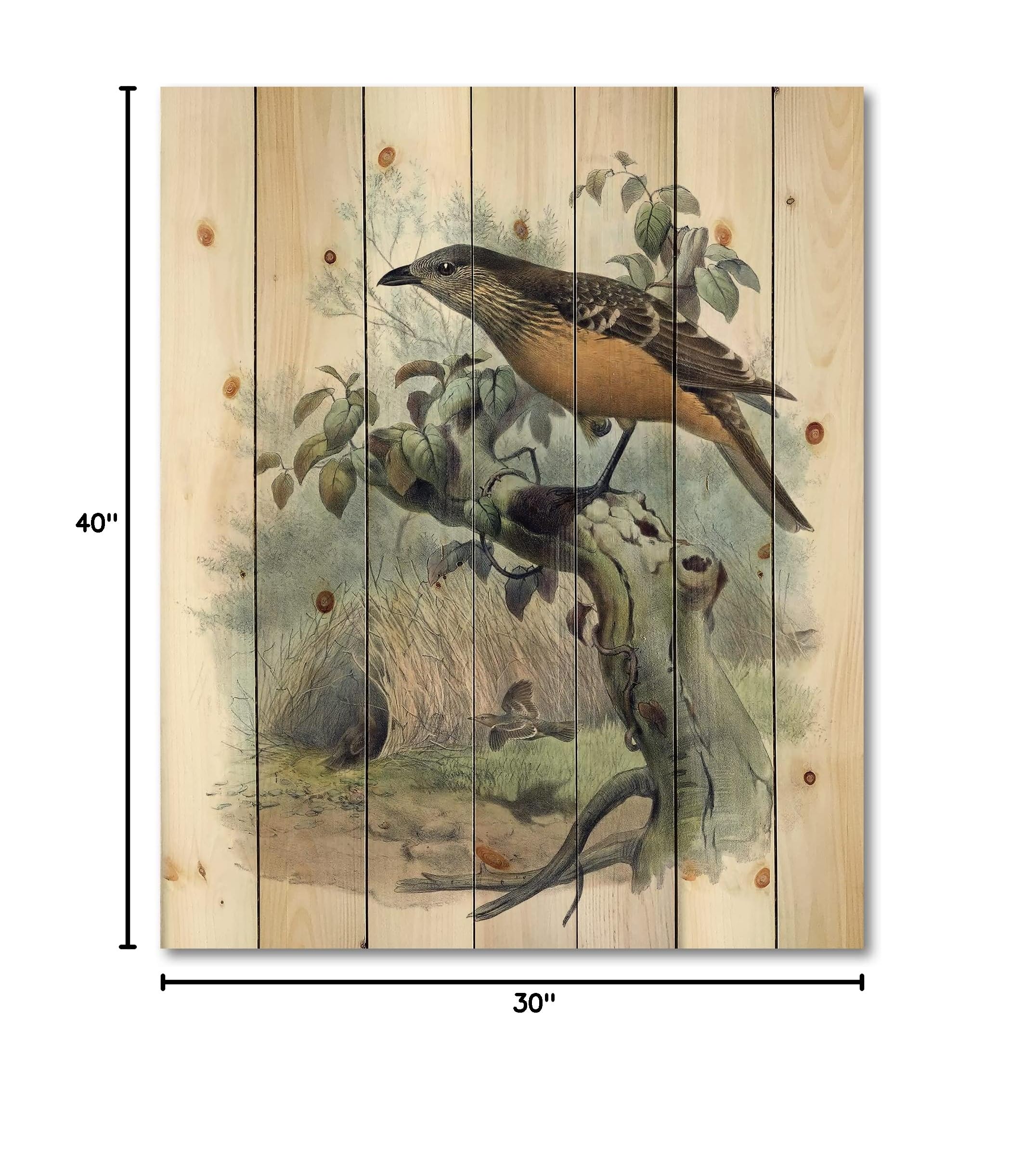 DesignQ Paradise Birds Traditional Wood Wall Decor - Blue Wood Wall Art, Large Animal Wood Panels Printed on Natural Pine - Perfect for Living Room, Bedroom & Office Decor