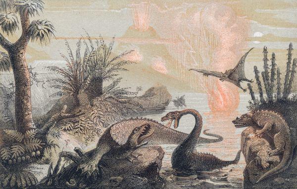 Collectible Dinosaur Fossils: The Art and Science of Dinosaur Excavation - Perfect for Educational STEM Activities and Home Decor
