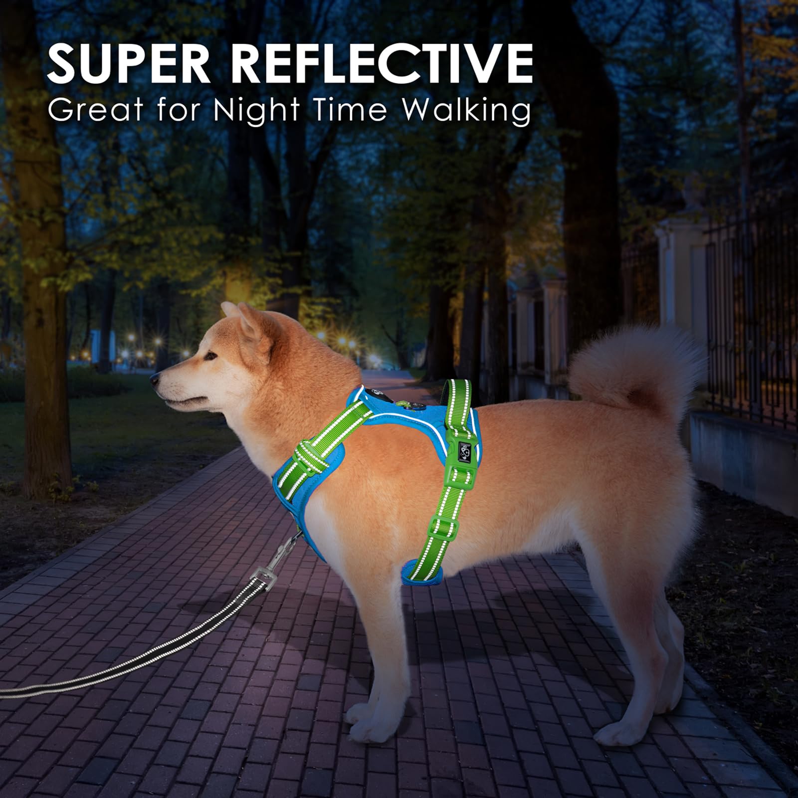 PHOEPET No Pull Dog Harness - Reflective Adjustable Dog Vest with Soft Training Handle & Metal Clips | Small/Medium/Large Dogs | Blue Base & Green Straps | Perfect for Walking, Training & Nighttime Safety
