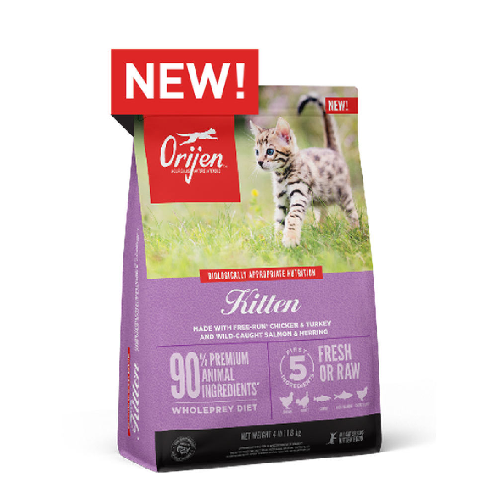 Premium Kitten Dry Food with Chicken, Turkey, Wild Salmon & Herring - High Protein Cat Food for Growing Kittens - Made in USA - Perfect for Weaning, Digestive Health & Immune Support