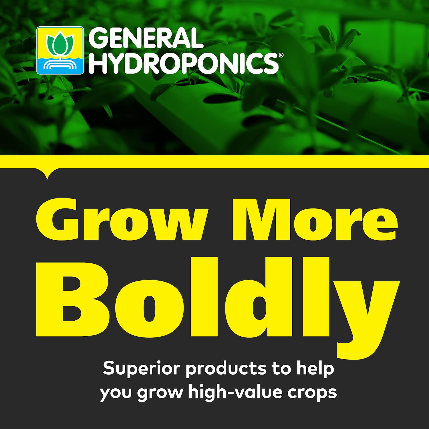 General Hydroponics HGC718807 FloraNova Grow 7-4-10 Liquid Fertilizer - High Strength Plant Food for Hydroponics, Soilless Mix & Container Gardening - Fast-Absorbing Nutrients for Indoor & Outdoor Plants (2.5-Gallon) - Perfect for Vegetables, Herbs & Flowering Plants