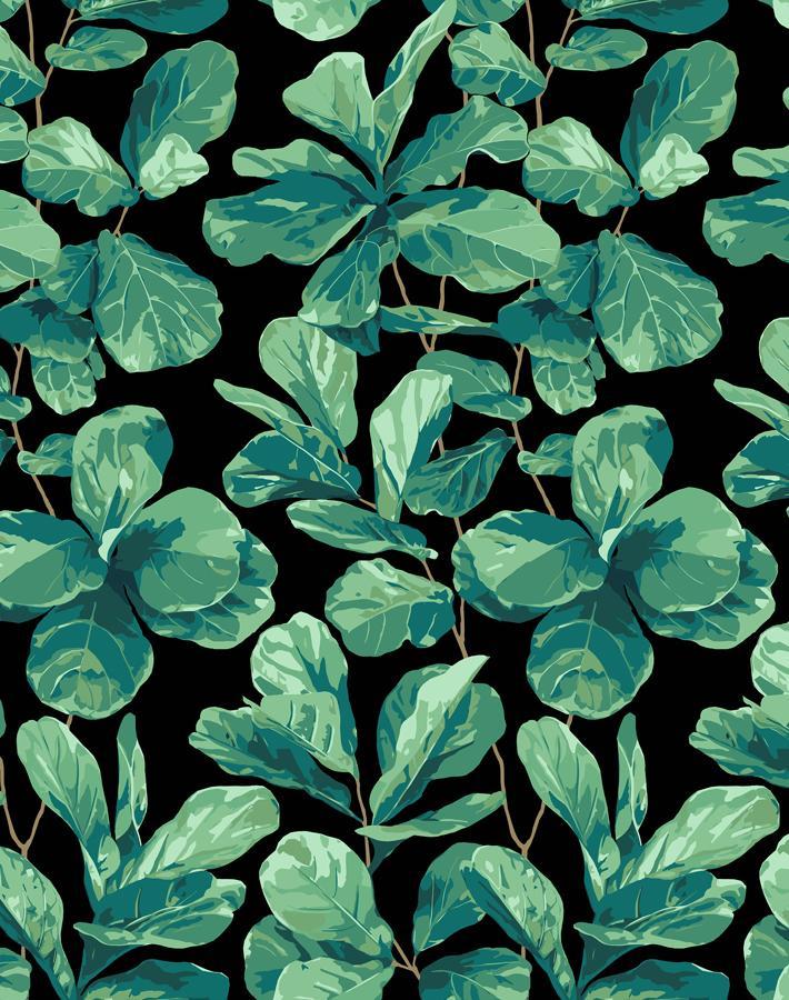 Nathan Turner Onyx Fiddle Leaf Fig Wallpaper - Elegant Botanical Peel and Stick Wallpaper for Living Room, Bedroom, or Nursery Decor