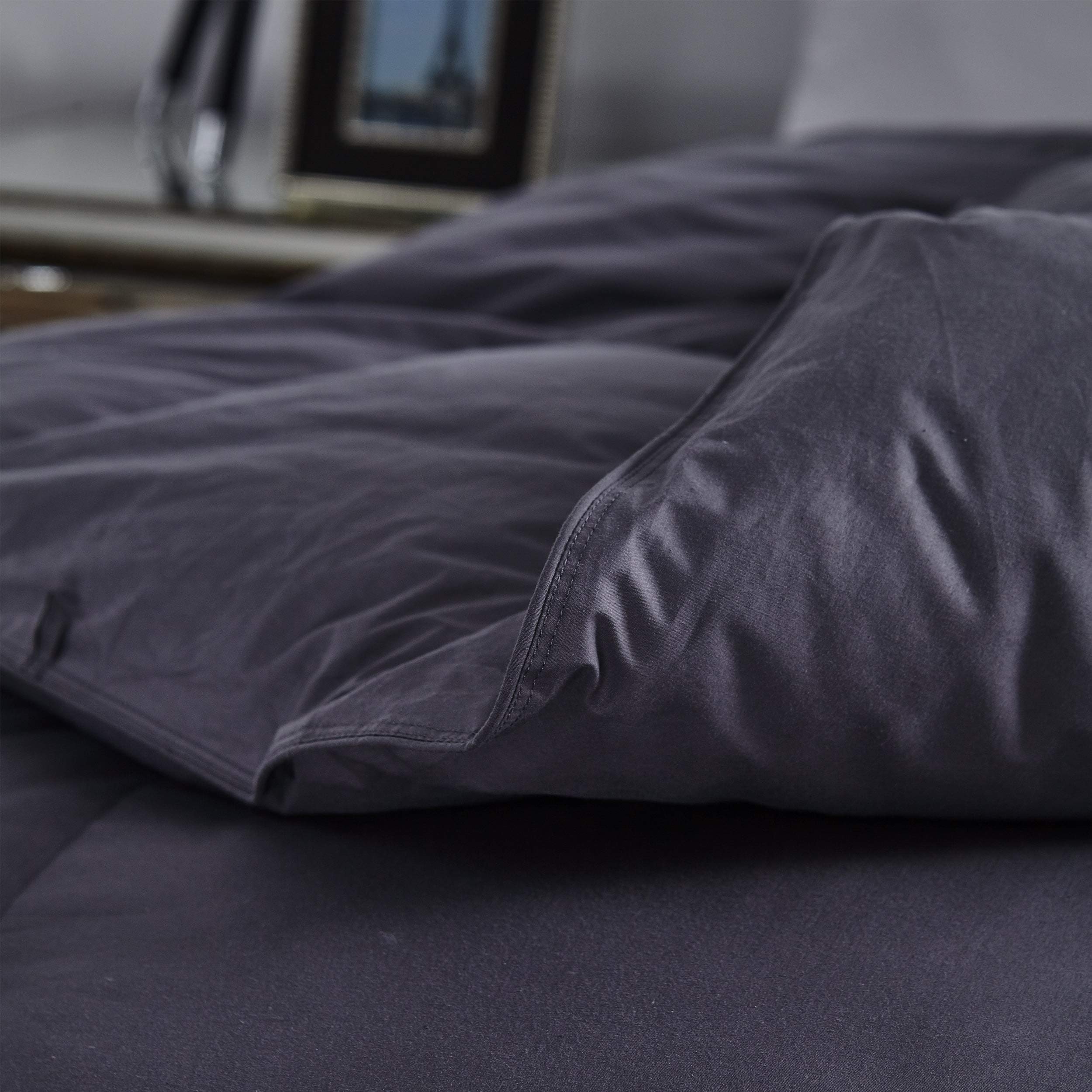 Premium All-Season Goose Down Comforter - 100% Egyptian Cotton Cover, Baffle Box Design, 55oz Fill (Twin Size, Classic Gray) - Ideal for Year-Round Comfort in Bedrooms, Guest Rooms & Hotels