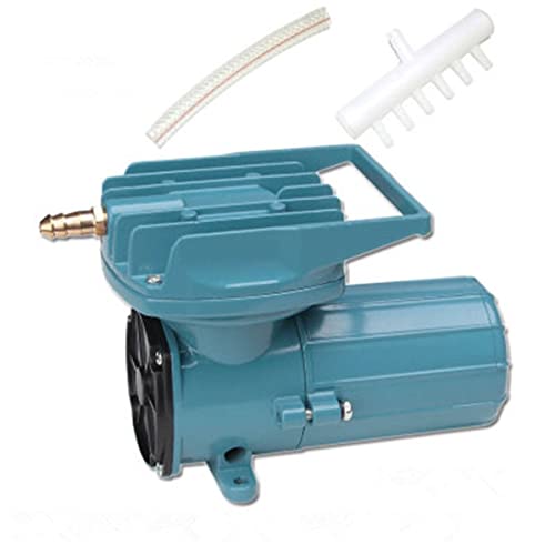 120w 115l