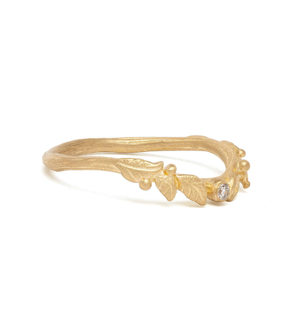 Twig Nesting Band - Natural Wooden Bird Nesting Material for Wild Birds - Perfect for Birdhouses, Gardens, and DIY Bird Nesting Projects