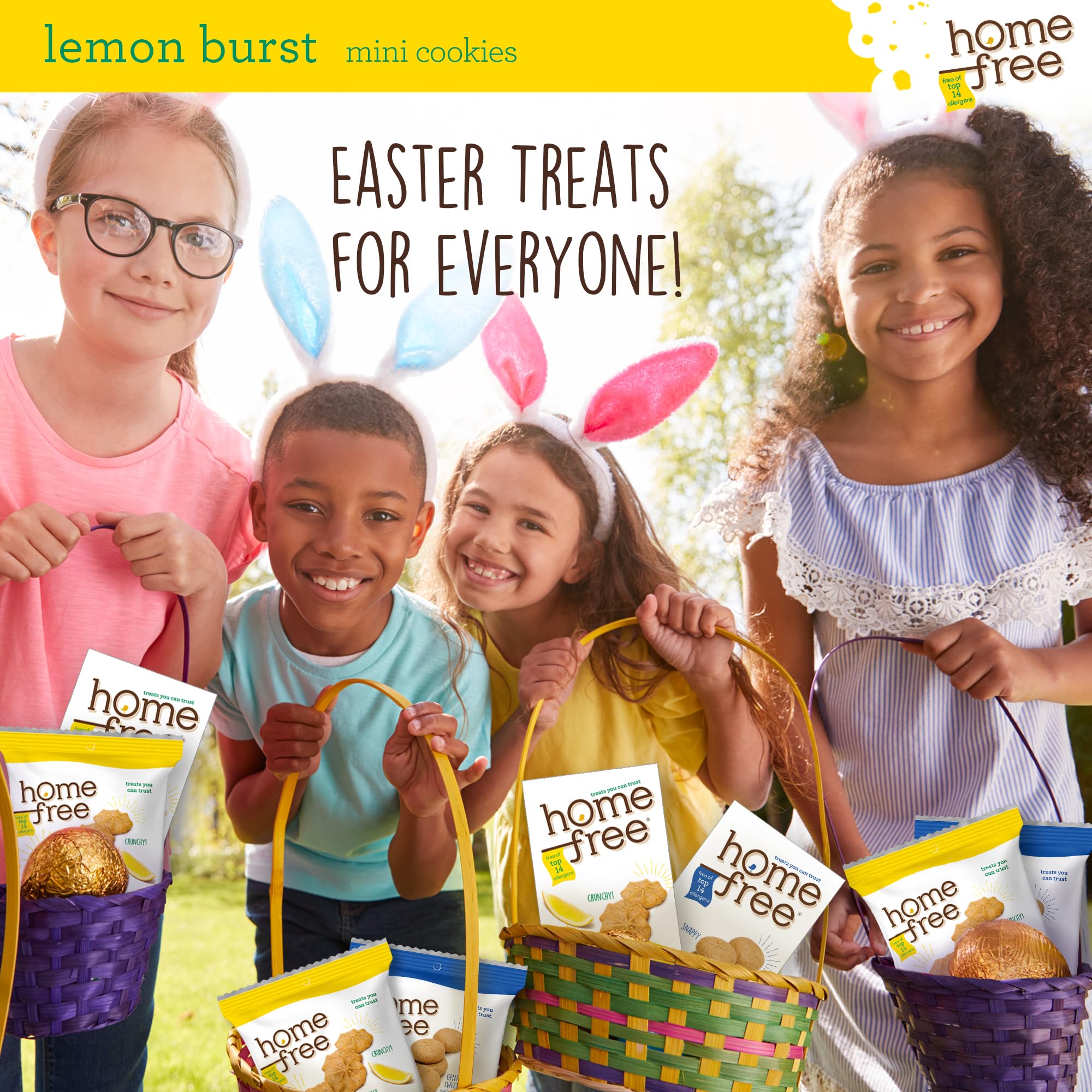 Gluten Free Vegan Lemon Cookies - Nut Free, Allergy Friendly Snacks for School & Travel - 5 Oz, Made in USA